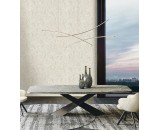 Обои Blumarine Блюмарин 5 29037