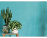 Обои Caselio Linen 68527163