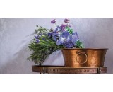 Обои Milassa Princess PR5 012