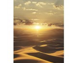Обои панно Marburg Dune 32545 4001860325452