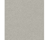 Обои Rasch 606652 Selection Vinyl/Vlies, 0.53м 4000441606652