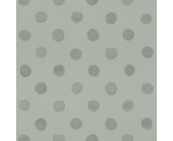 Обои Rasch 252057 Bambino XIX 4000441252057, 0.53м