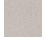 Обои Rasch 252859 Bambino XIX 4000441252859, 0.53м