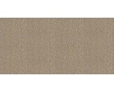 Обои Alessandro Allori Breeze RDT2205-5