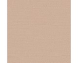 Обои Alessandro Allori Bruni 1003-9