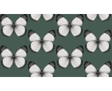 Обои Andrea Rossi Cheradi 54401-5