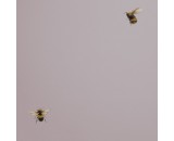 Обои Andrea Rossi Cavolli 54419-5