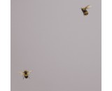 Обои Andrea Rossi Cavolli 54419-4