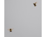 Обои Andrea Rossi Cavolli 54419-2