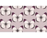 Обои Andrea Rossi Cheradi 54401-7