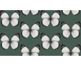 Обои Andrea Rossi Cheradi 54401-5