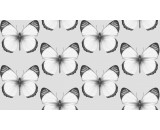 Обои Andrea Rossi Cheradi 54401-1