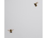 Обои Andrea Rossi Cavolli 54419-1