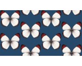 Обои Andrea Rossi Cheradi 54401-8