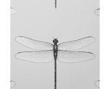 Обои Andrea Rossi Cavolli 54426-1