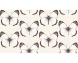 Обои Andrea Rossi Cheradi 54401-2