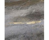 Обои Bruno Zoff Silver 60116-4