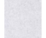 Обои Caselio Beton 101499020