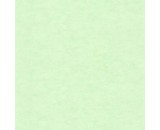Обои Caselio Beton 2 101487042