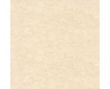 Обои Caselio Beton 2 101481123