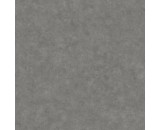 Обои Caselio Beton 2 101489750