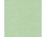 Обои Caselio Beton 2 101487270