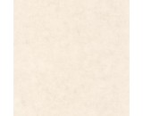 Обои Caselio Beton 101481258