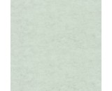 Обои Caselio Beton 2 101489050