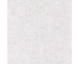Обои Caselio Beton 101489301