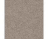 Обои Caselio Beton 101481899