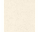 Обои Caselio Beton 101480010