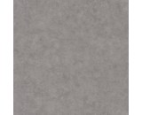 Обои Caselio Beton 101489600
