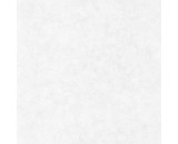 Обои Caselio Beton 101489000