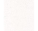 Обои Caselio Beton 101480000