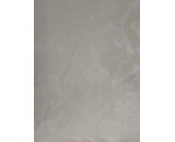 Обои Cassanie Mainz 93086