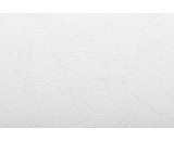 Обои New Company Antivandal 4010-25