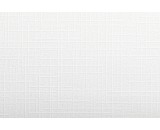 Обои New Company Antivandal 4010-16