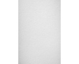 Обои New Company Antivandal 9010-070