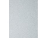 Обои New Company Antivandal 4060-010