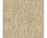 Обои Roberto Cavalli Home 3 14065