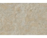 Обои Roberto Cavalli Home 3 14059
