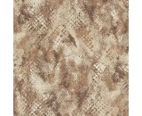 Обои Roberto Cavalli Roberto Cavalli 9 21051