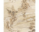 Обои Roberto Cavalli Roberto Cavalli 9 21014