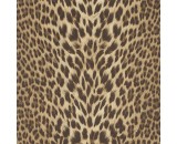 Обои Roberto Cavalli Roberto Cavalli 9 21041