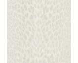 Обои Roberto Cavalli Roberto Cavalli 9 21042