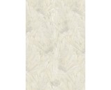 Обои Roberto Cavalli Roberto Cavalli 9 21003