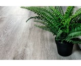 Кварцевый ламинат Alpine Floor Classic Light Ясень Серый 134-55 43-класс, микрофаска, 1220x183x4мм