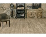 Кварцевый ламинат Alpine Floor Grand Sequoia Light Камфора 11-501 тиснение в регистр с подложкой 43-класс, микрофаска, 1220x183x8мм