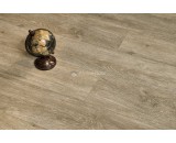Кварцевый ламинат Alpine Floor Grand Sequoia Light Камфора 11-501 тиснение в регистр с подложкой 43-класс, микрофаска, 1220x183x8мм