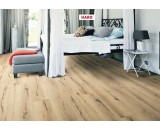 Ламинат Haro Дуб Италика Крем Tritty 100 Campus 4V тиснение дерева 532060 32-класс, фаска-4V, 1282x243x8мм